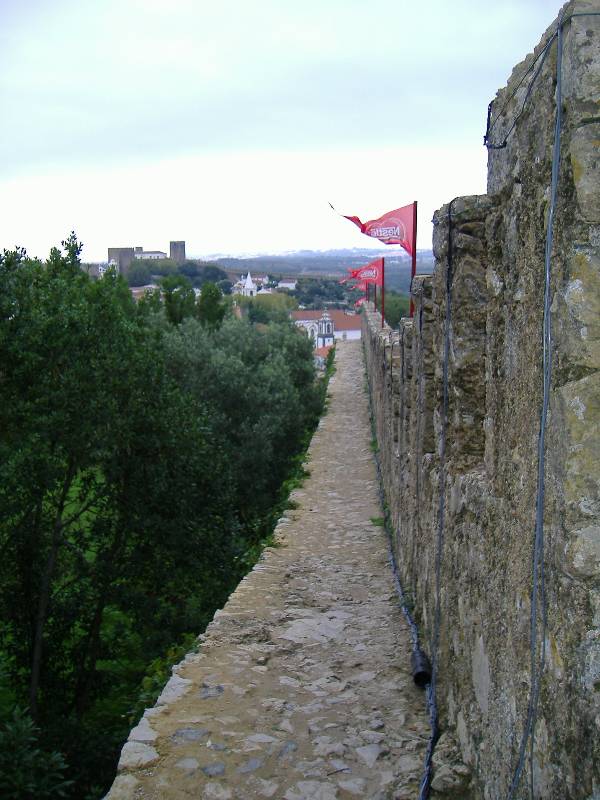 Obidos Staedtchen aus dem Mittelalter (15) 